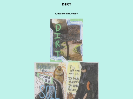 DIRT/dirtzine screenshot