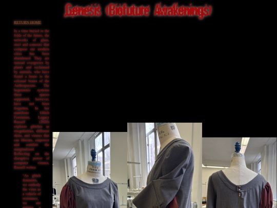 GenesisDress/genesisdress screenshot