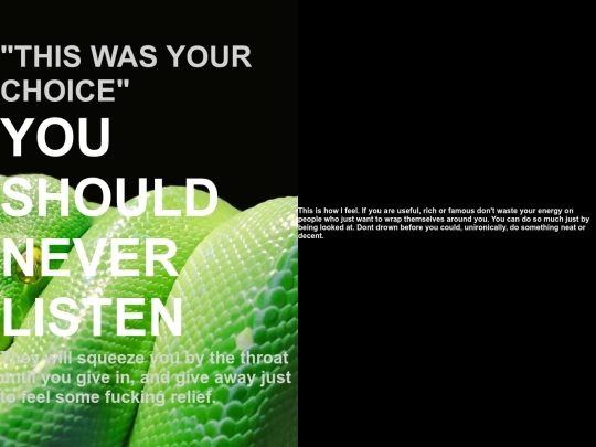 magazine2/page-3 screenshot