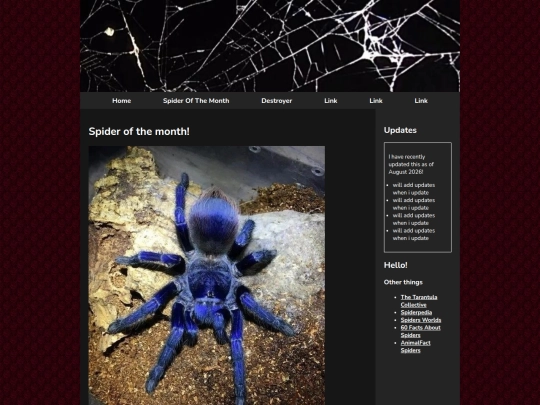 spiderm screenshot