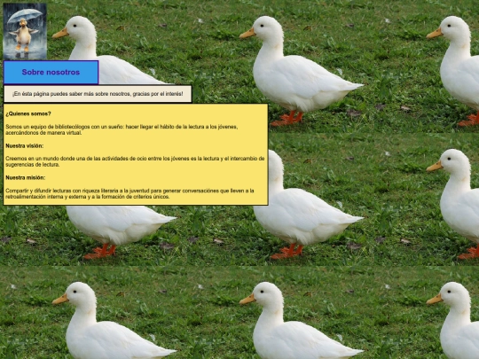 libraries/about screenshot