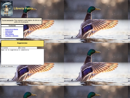 libraries/lib screenshot