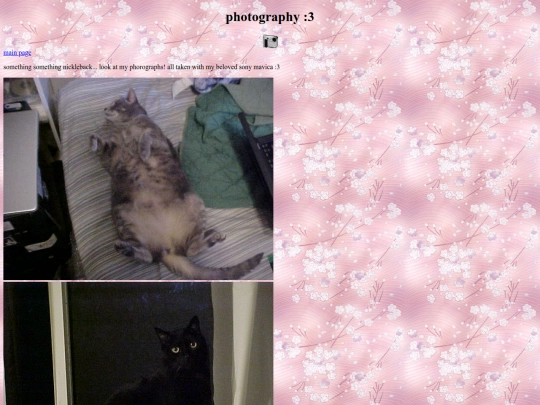photography screenshot