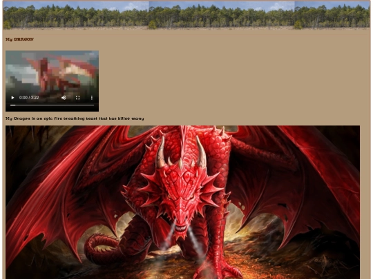 mydragon screenshot