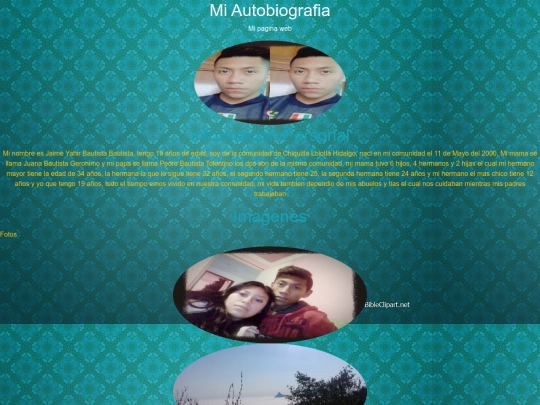 Mipaginaweb screenshot