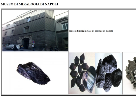 museo screenshot