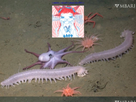 gallery2 screenshot