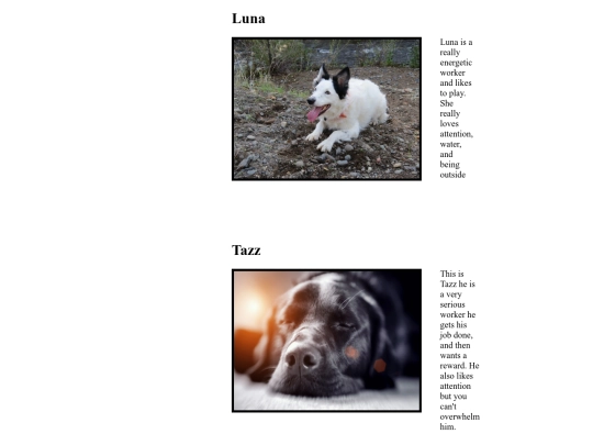 StaffPageAssignment screenshot