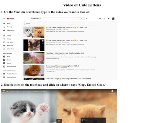VideoEmbeddingTutorial screenshot