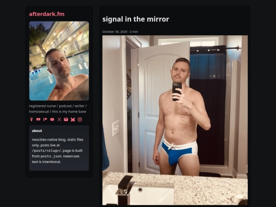 posts/signal-in-the-mirror screenshot