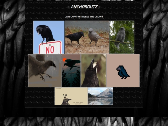 collections/crowposting screenshot
