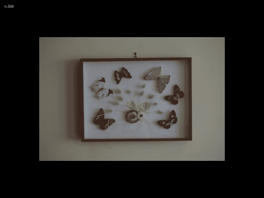 house/butterflies screenshot