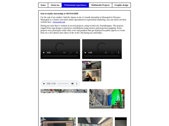 profersional_experiences screenshot