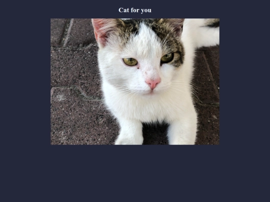 cats/cats screenshot