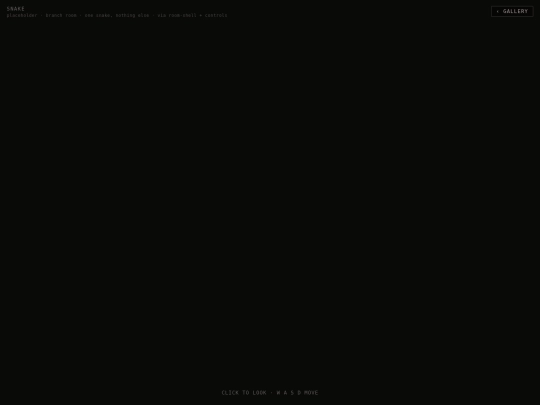 prototypes/room-snake screenshot
