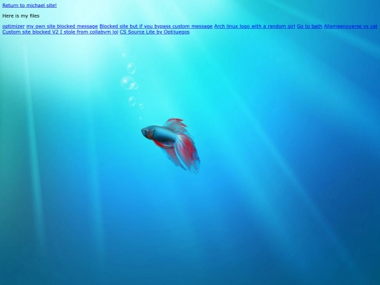 Files screenshot