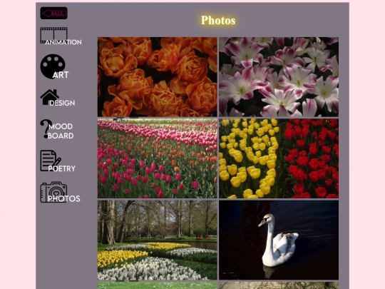projects/photography screenshot