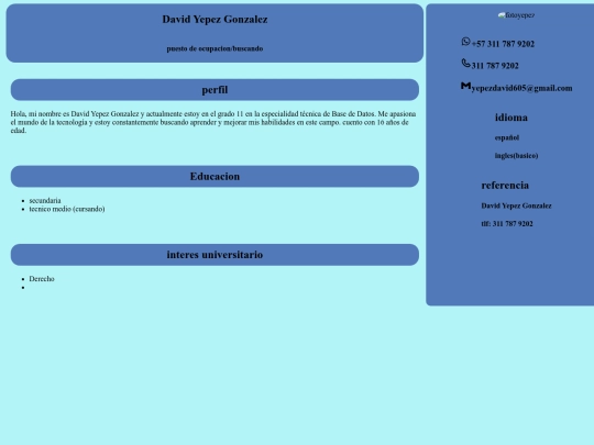 hoja de vida screenshot