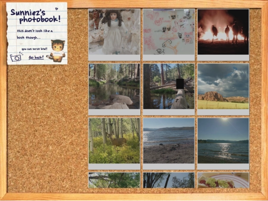 gallery/photobook screenshot