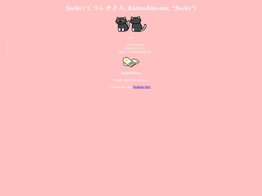 Socks screenshot