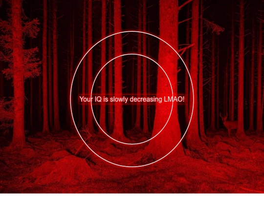 IQMANIA screenshot