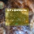 erev.neocities.org avatar