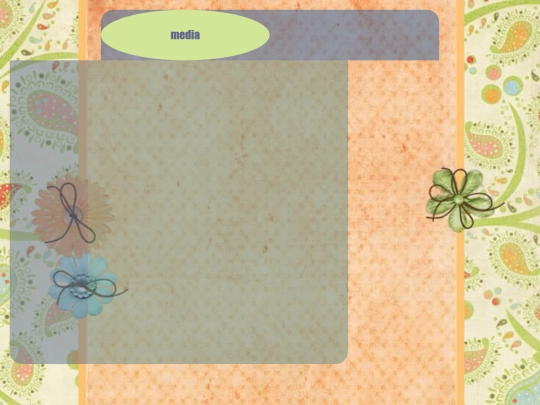 media/media screenshot