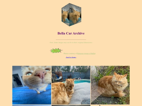 car screenshot