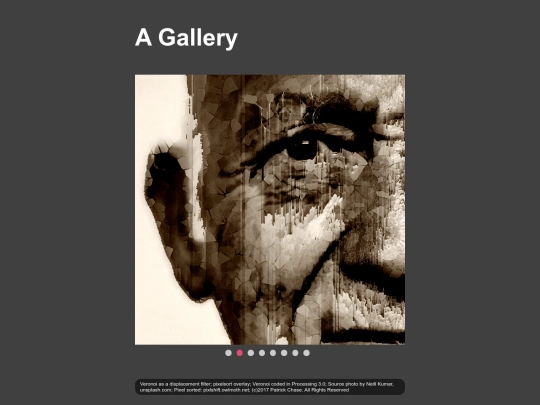 gallery screenshot