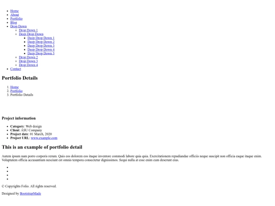 portfolio-details screenshot