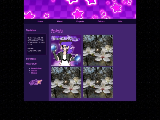 projects screenshot