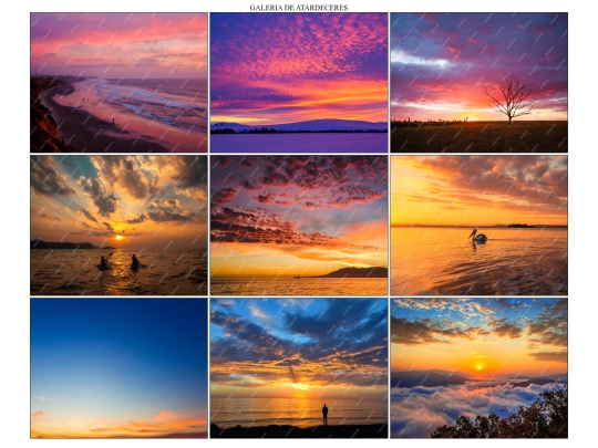 galeria screenshot