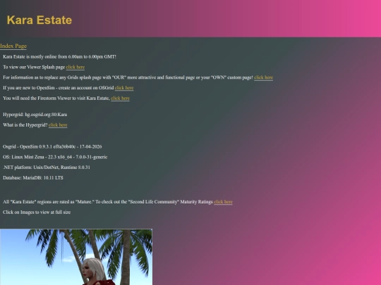information screenshot