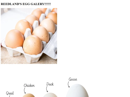 eggs screenshot