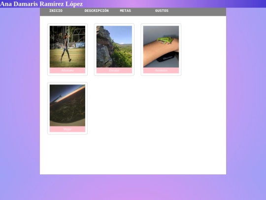 ANA/Gustos screenshot