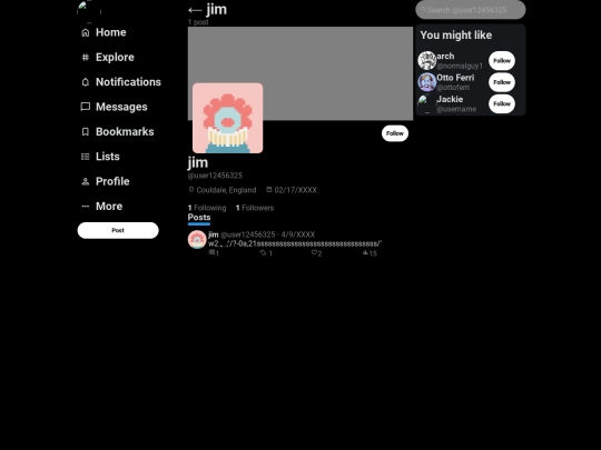 profiles/user12456325 screenshot