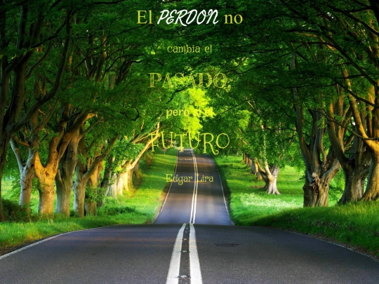 frase del dia/mockup screenshot