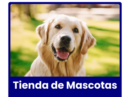 Clase_Responsive screenshot
