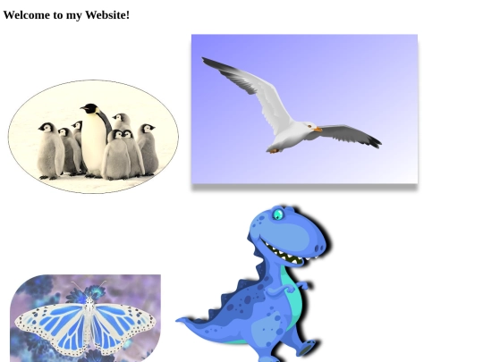 Images/Images screenshot