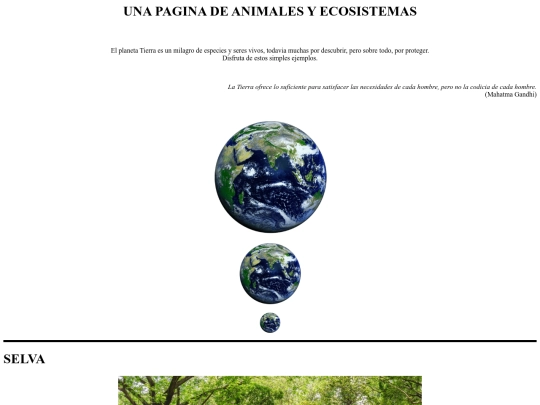 Practica5/practica5 screenshot
