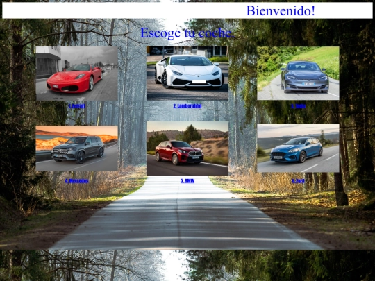 proyecto/proyecto screenshot