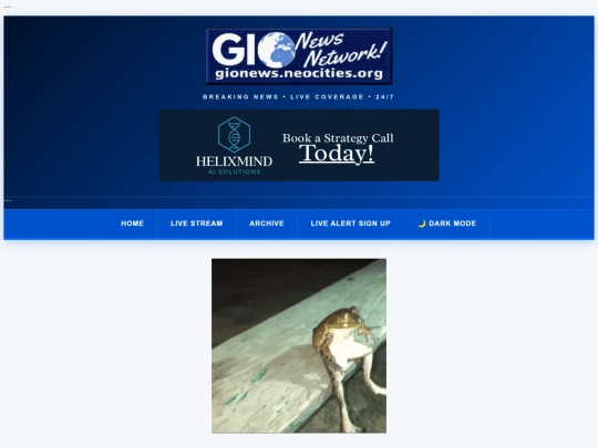 fwog screenshot