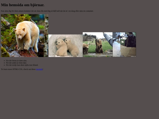 minandrawebbsida screenshot