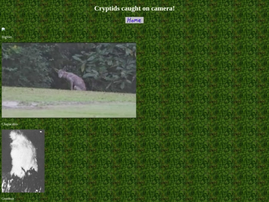 coolpictures screenshot