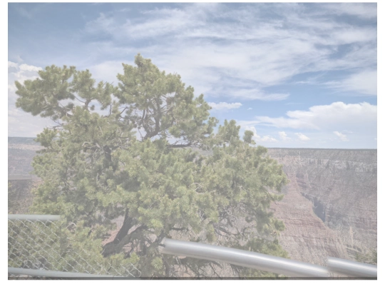 GrandCanyon_NP_01 screenshot
