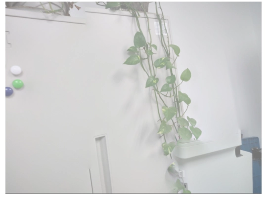 RIOH_04 screenshot