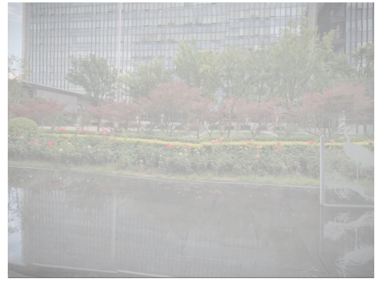 RIOH_06 screenshot