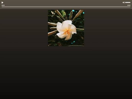player/kaibigan screenshot