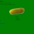 Pickle Gang avatar