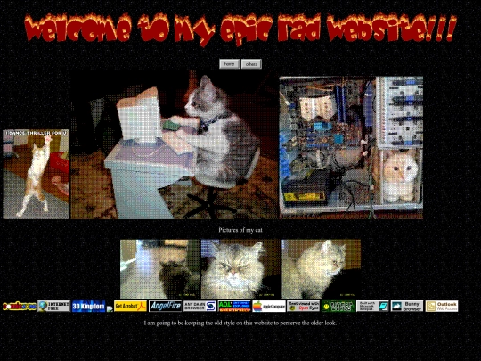 CuteCats screenshot